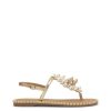 Careercurated.shop0186c34a38 1