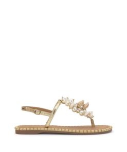 Careercurated.shop0186c34a38 1
