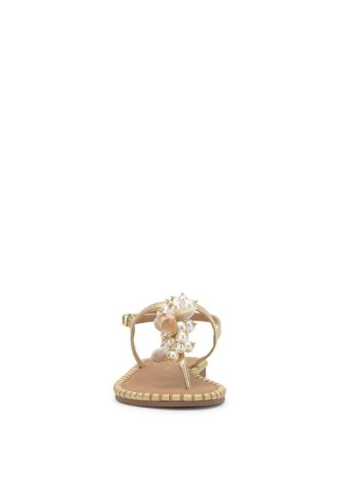 Careercurated.shop0186c34a38 2