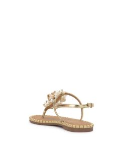 Careercurated.shop0186c34a38 3