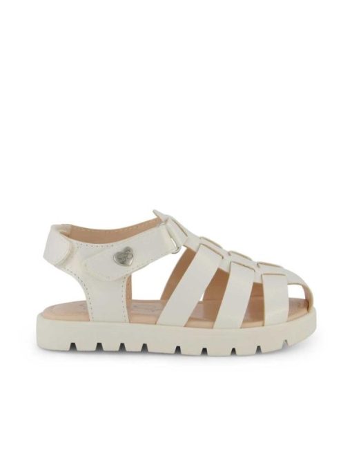 Careercurated.shop3c8689fa0d 1