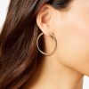 Careercurated.shop6cd8a8d905 1