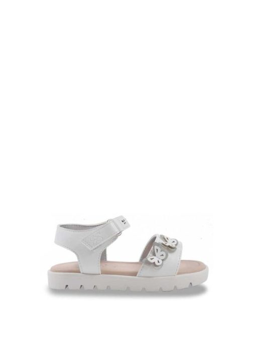 Careercurated.shop85a94ab196 1