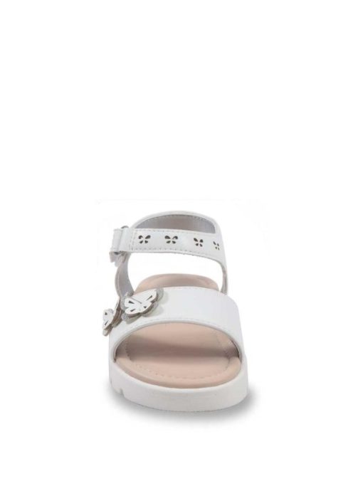 Careercurated.shop85a94ab196 2