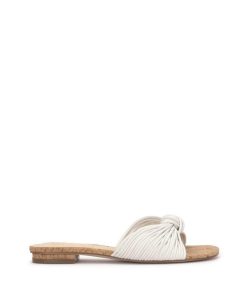 Careercurated.shop887f7c151e 1